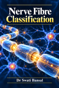 Nerve Fibre Classification | Nerve Muscle Physiology Dr Swati Bansal