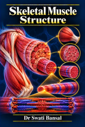Skeletal Muscle Structure cover by Dr Swati Bansal